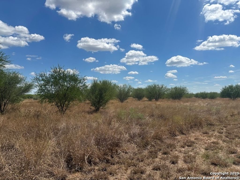 Photo of 485 Joy, Floresville, TX 78114 (MLS # 1893837)