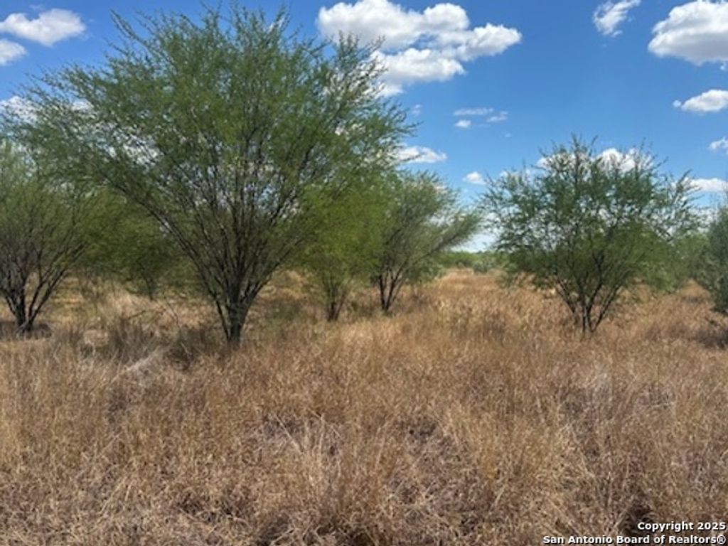 Photo of 485 Joy, Floresville, TX 78114 (MLS # 1893837)