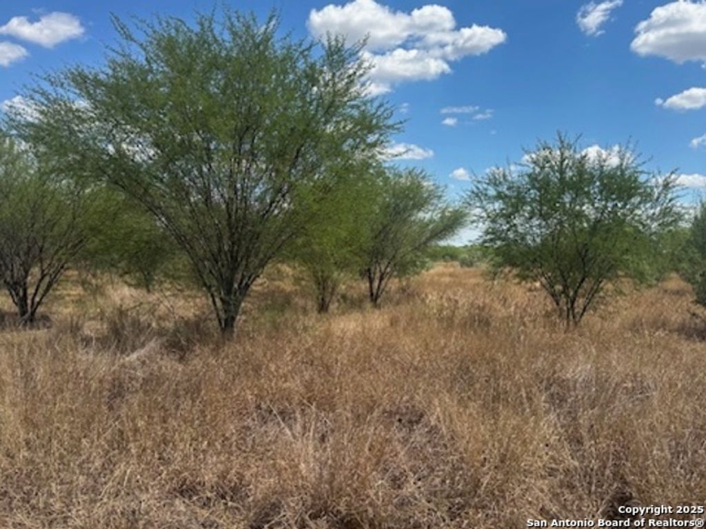 Photo of 485 Joy, Floresville, TX 78114 (MLS # 1893837)