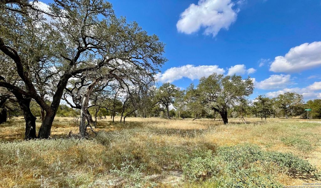Photo of 265 Firewheel Loop, Floresville, TX 78114 (MLS # 1917656)