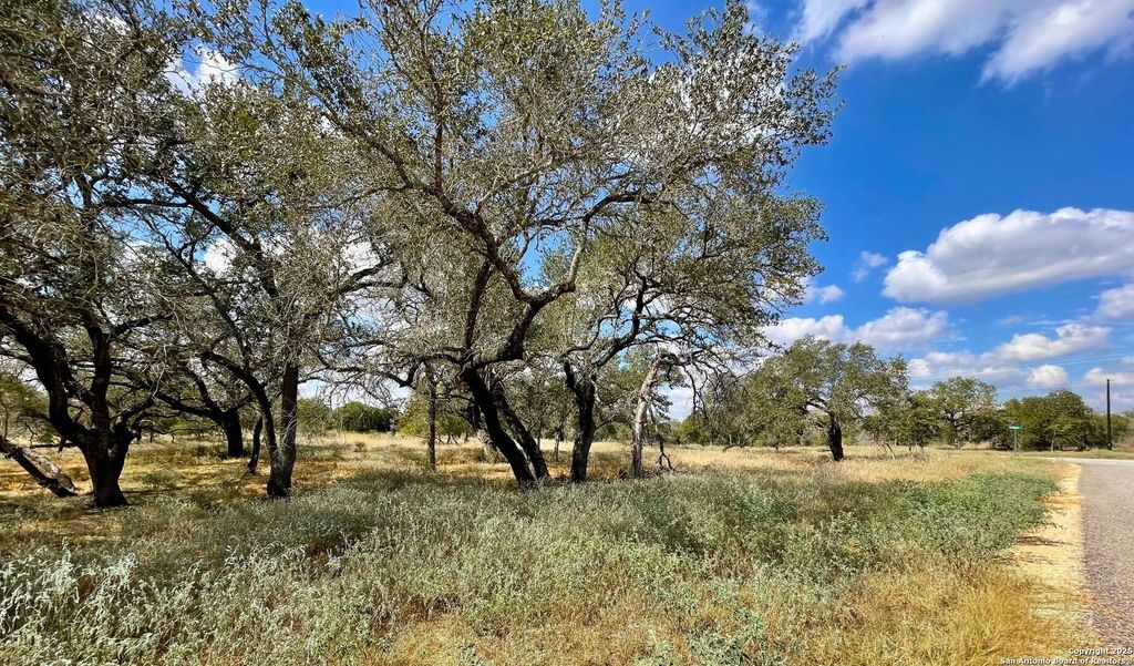 Photo of 265 Firewheel Loop, Floresville, TX 78114 (MLS # 1917656)