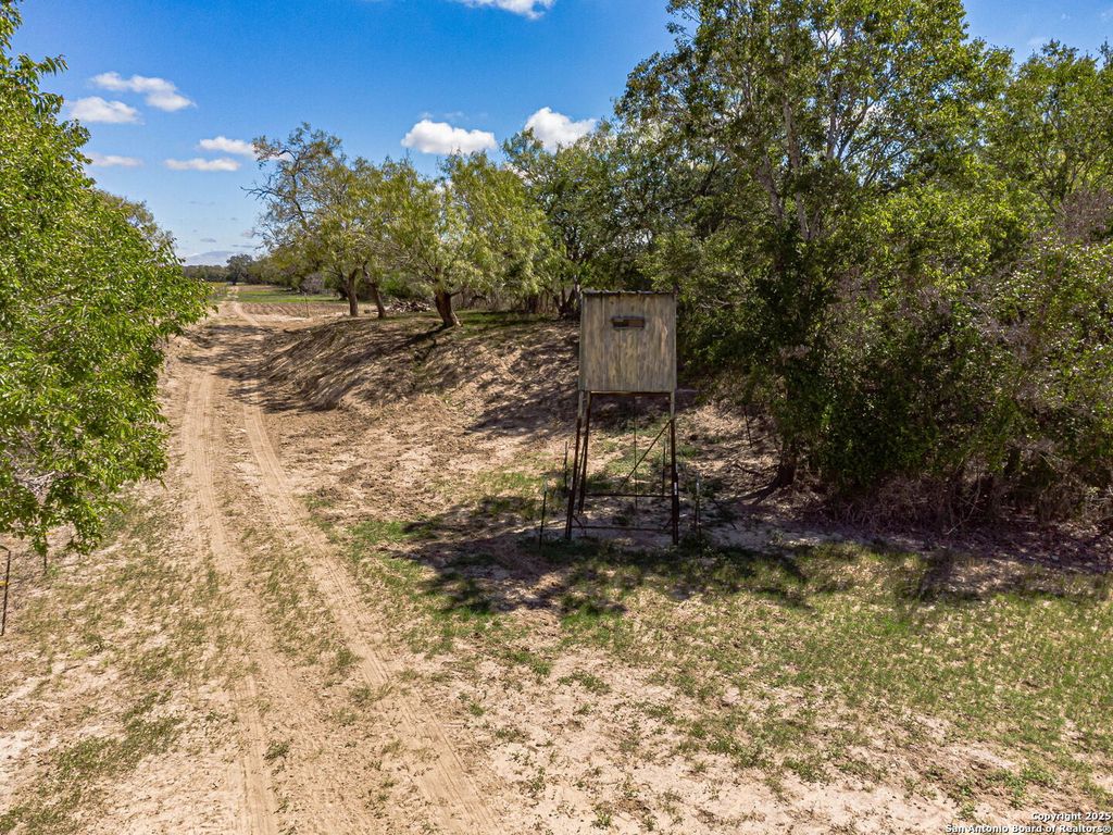 listing image 48