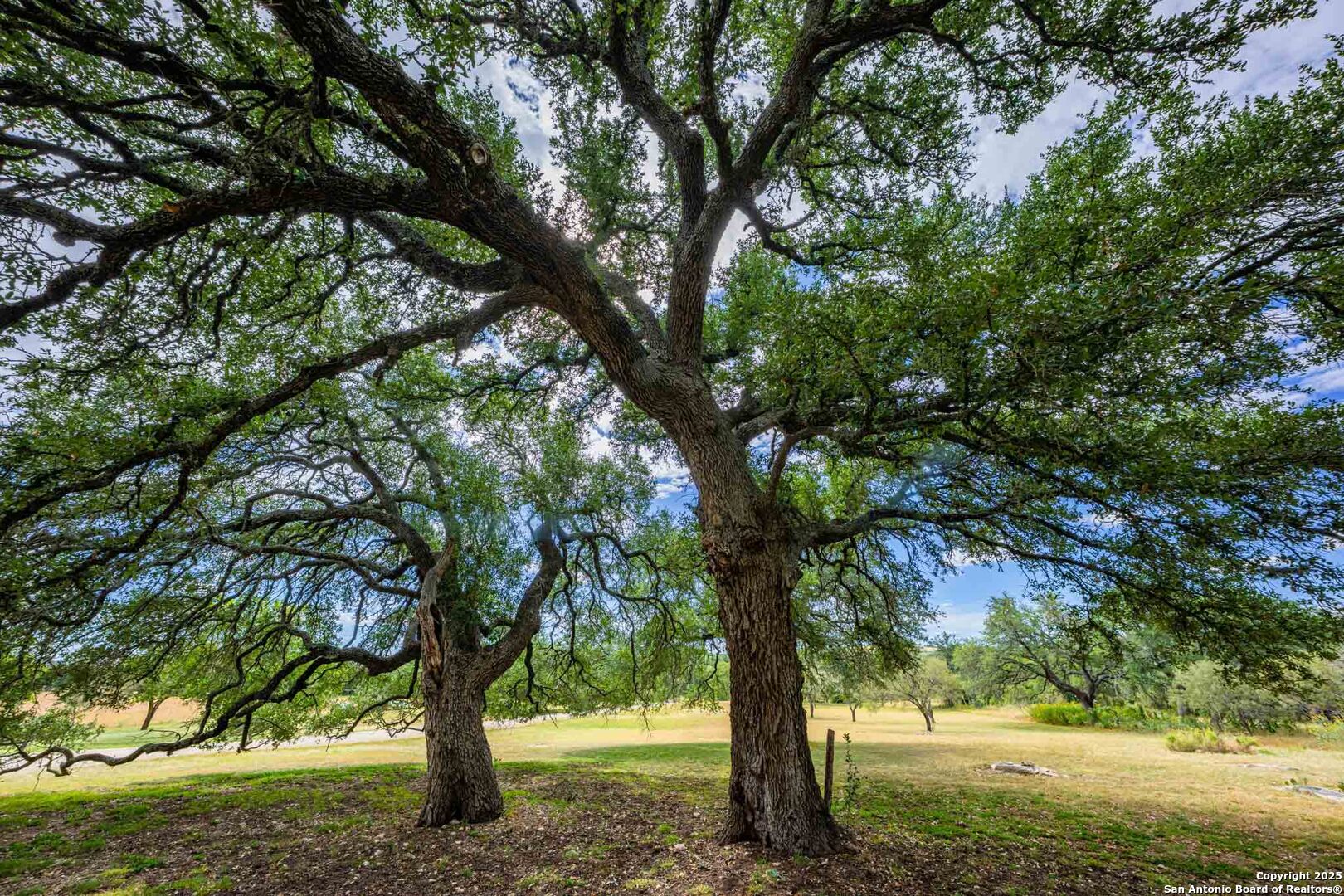 6754 North Grape Creek Rd