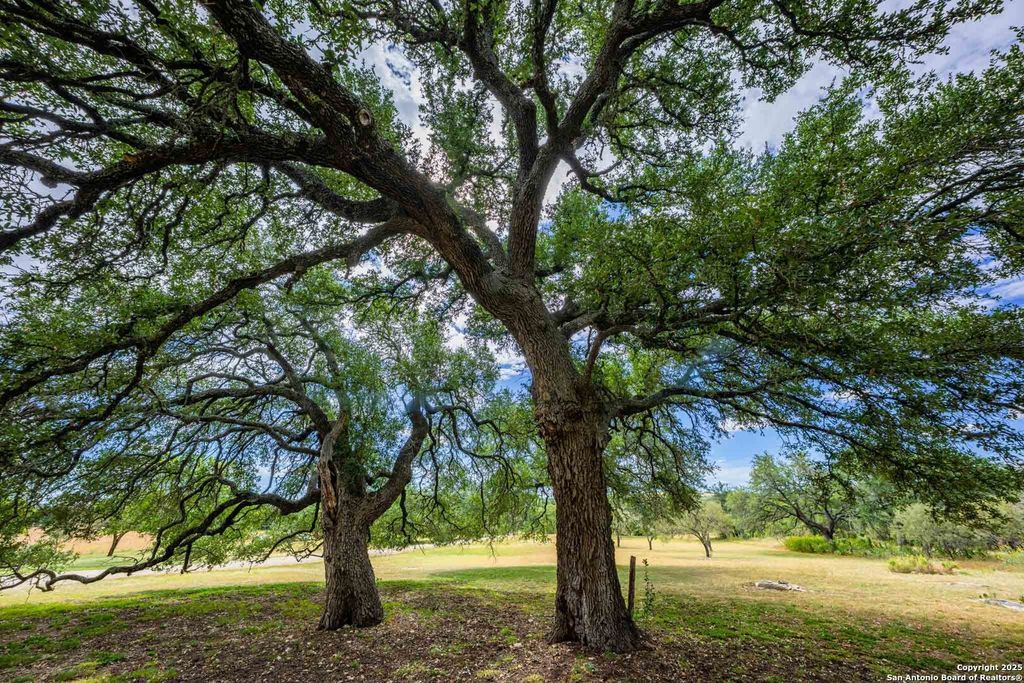 Photo of 6754 North Grape Creek Rd, Fredericksburg, TX 78624 (MLS # 1920934)