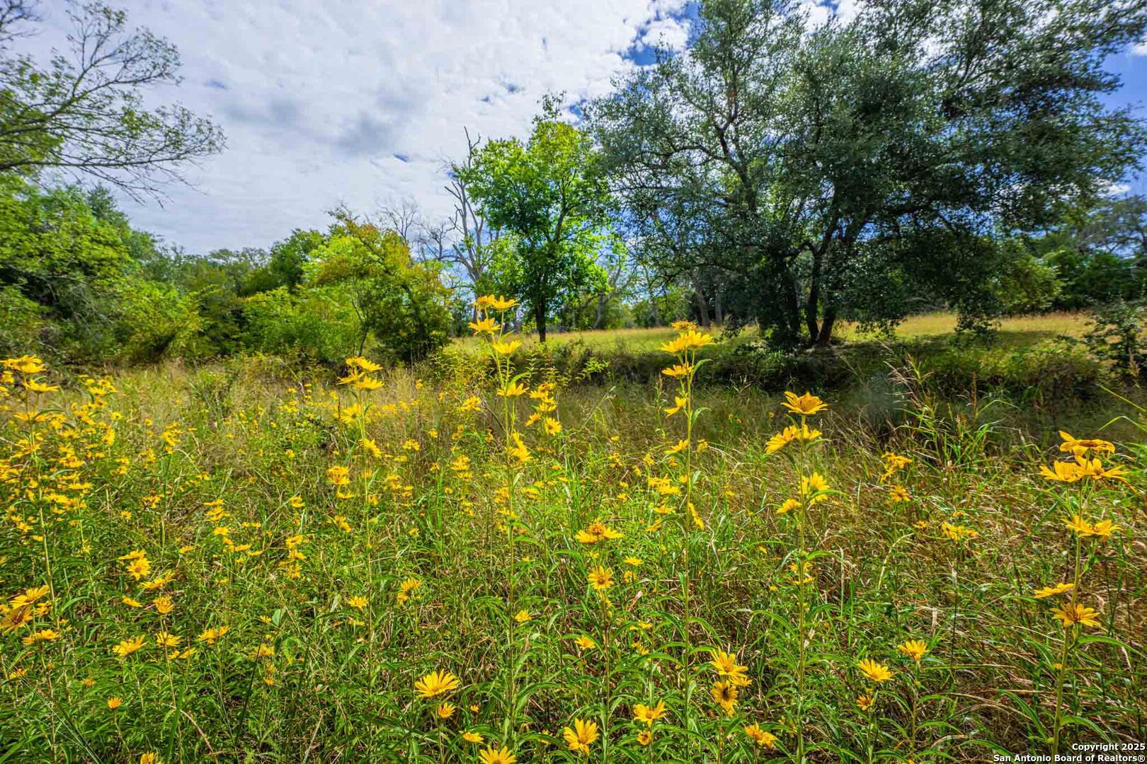 6754 North Grape Creek Rd