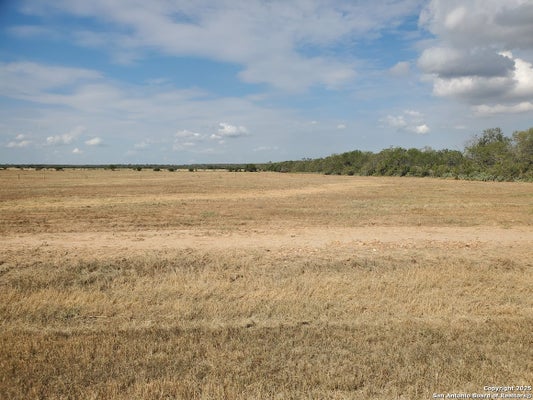1150 COUNTY RD 1670, PEARSALL, TX 78061 - Image 088e362d5cbc294aeca1f59a54232ee7/642108385