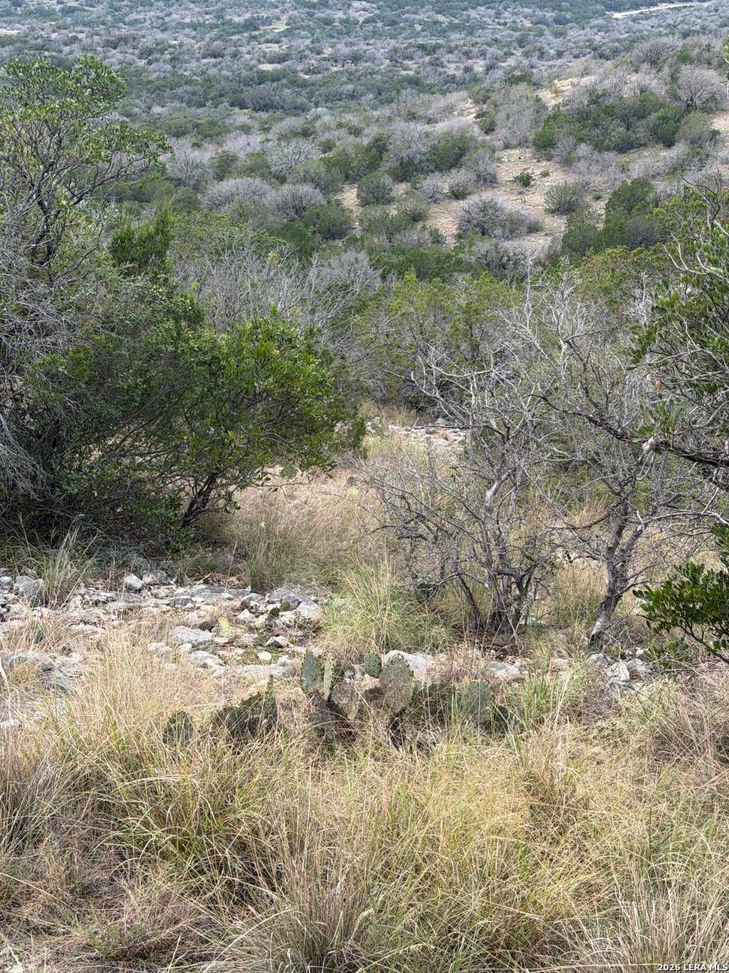 Photo of TBD SD45415, Rocksprings, TX 78880 (MLS # 2022919)