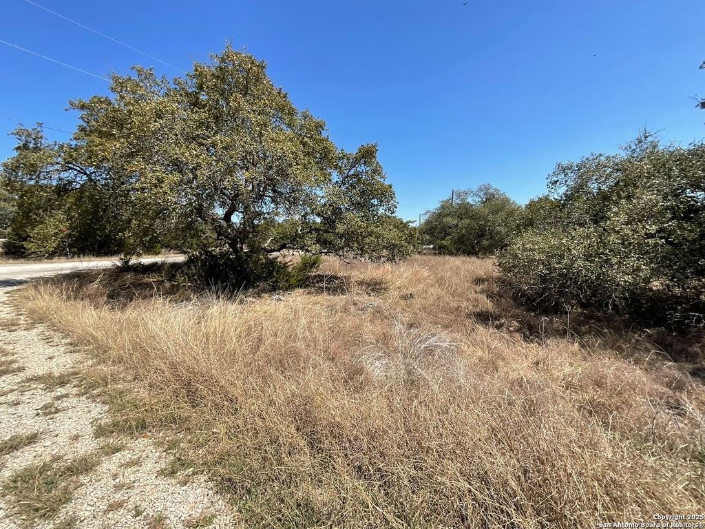 Photo of 137 Restless Wind, San Antonio, TX 78070 (MLS # 1855034)