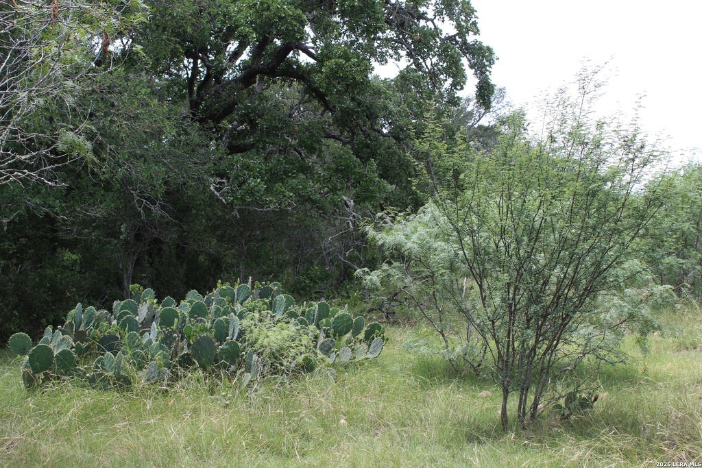 Photo of TBD FM 3353, Seguin, TX 78155 (MLS # 1993907)