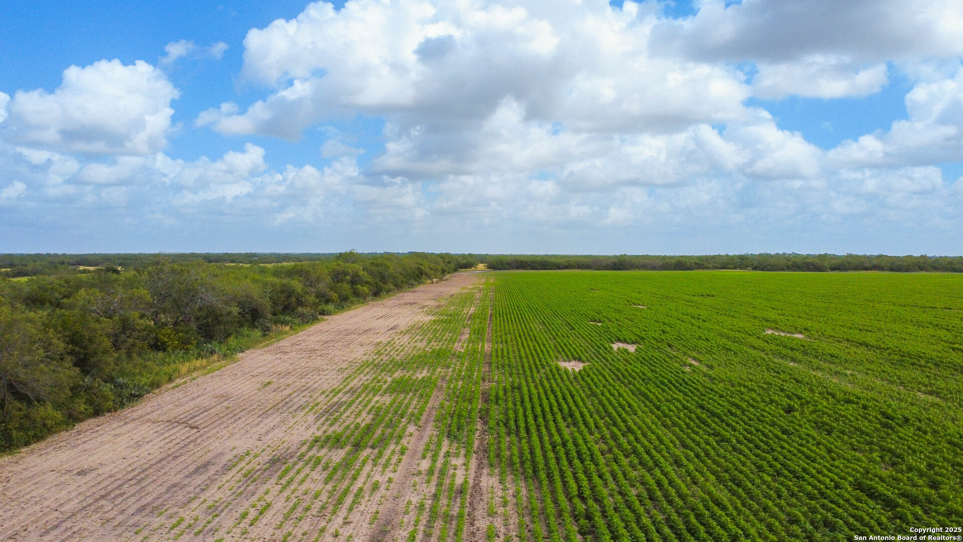 TBD N Hwy 281