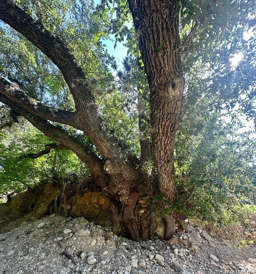 1 UPPER CIBOLO CREEK RD