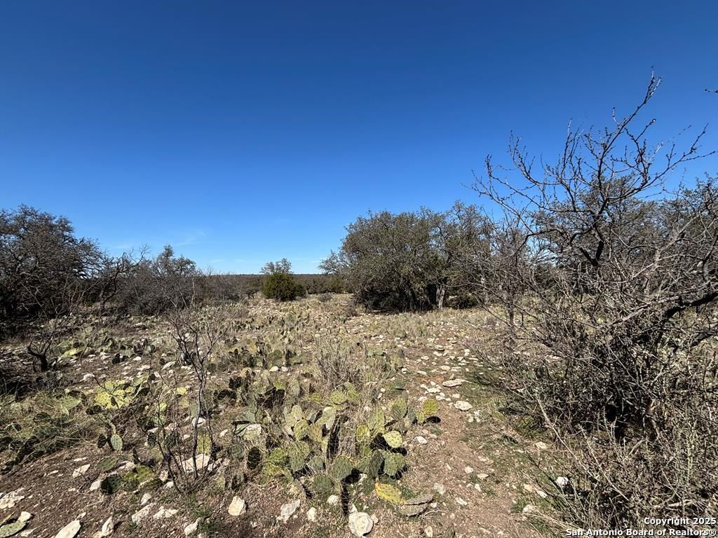 Photo of 221 Turkey Run, Eldorado, TX 76936 (MLS # 1864744)