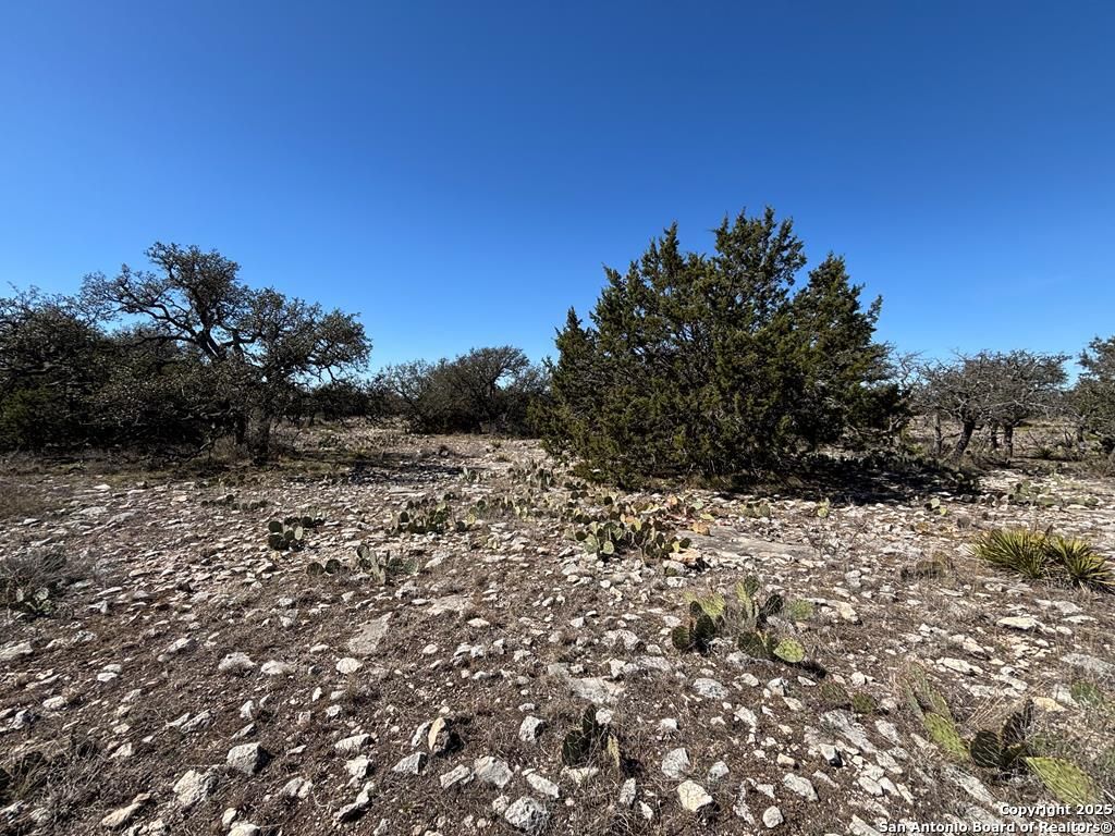 Photo of 221 Turkey Run, Eldorado, TX 76936 (MLS # 1864744)