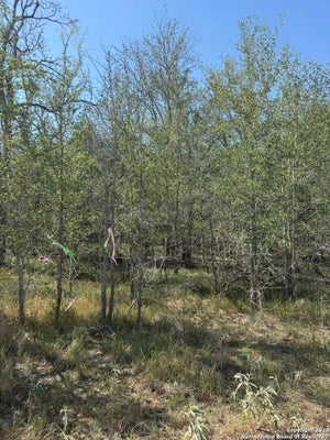 421 KERR AVE, SUTHERLAND SPRINGS, TX 78161 - Image 0b2d432fb181fa32f3c77d1ec4f37ff5/503775251