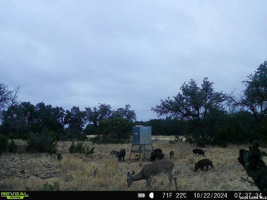 Photo of 09 Broken Arrow Rd., Harper, TX 78631 (MLS # 1960499)