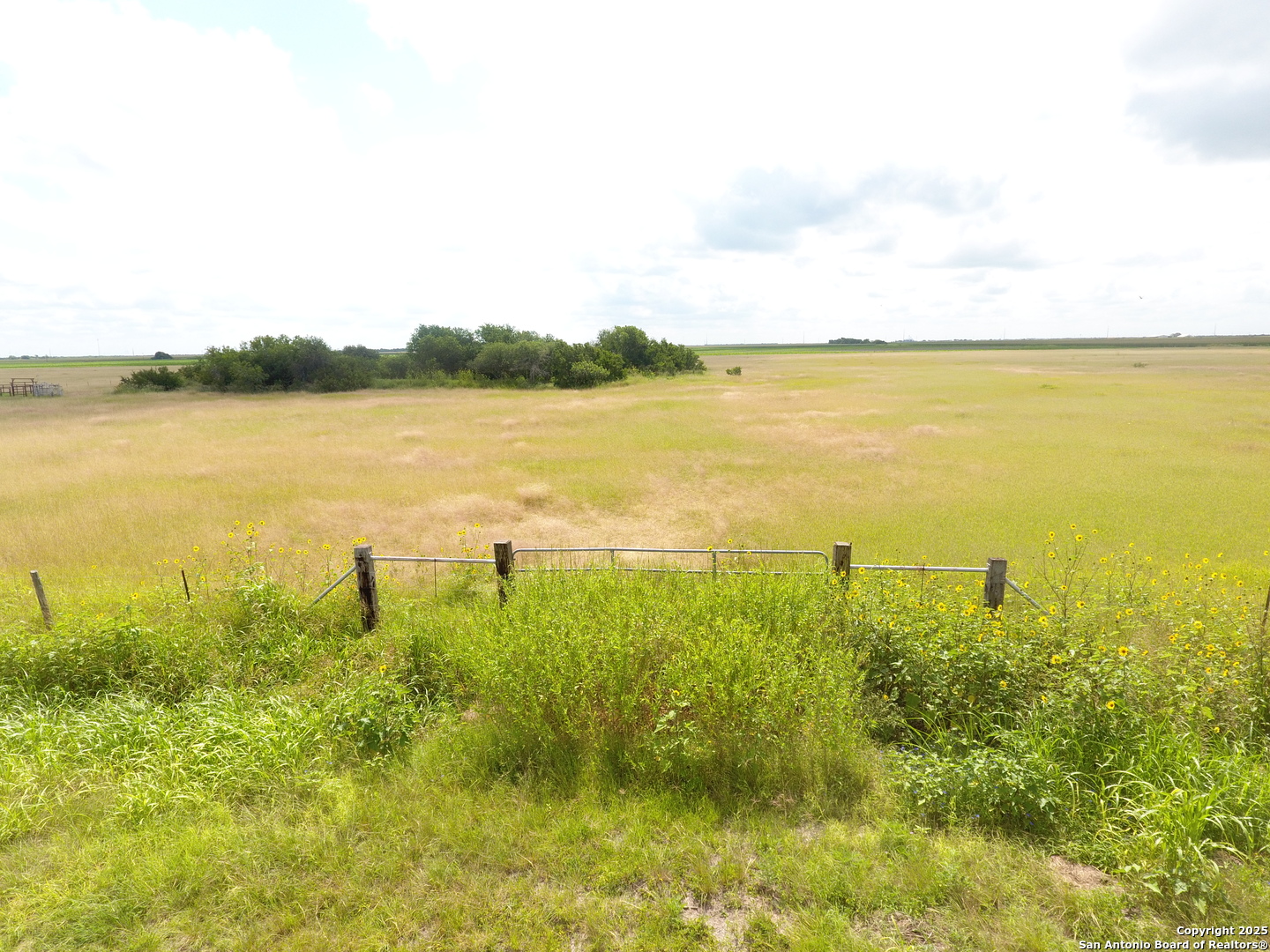 T5 TBD County Road 1949