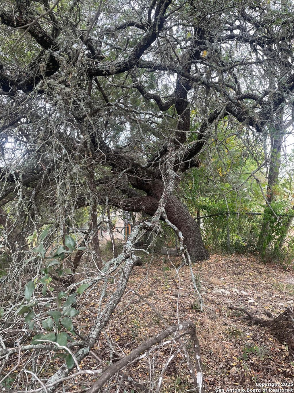 Photo of 749 &amp; 743 Canyon Circle, Canyon Lake, TX 78133 (MLS # 1920869)