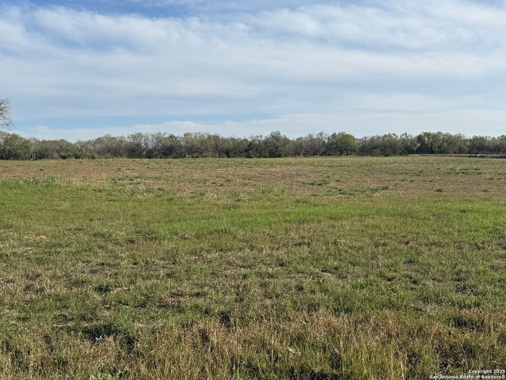 Photo of 13208 ADKINS SAINT HEDWIG RD, St Hedwig, TX 78152 (MLS # 1926038)