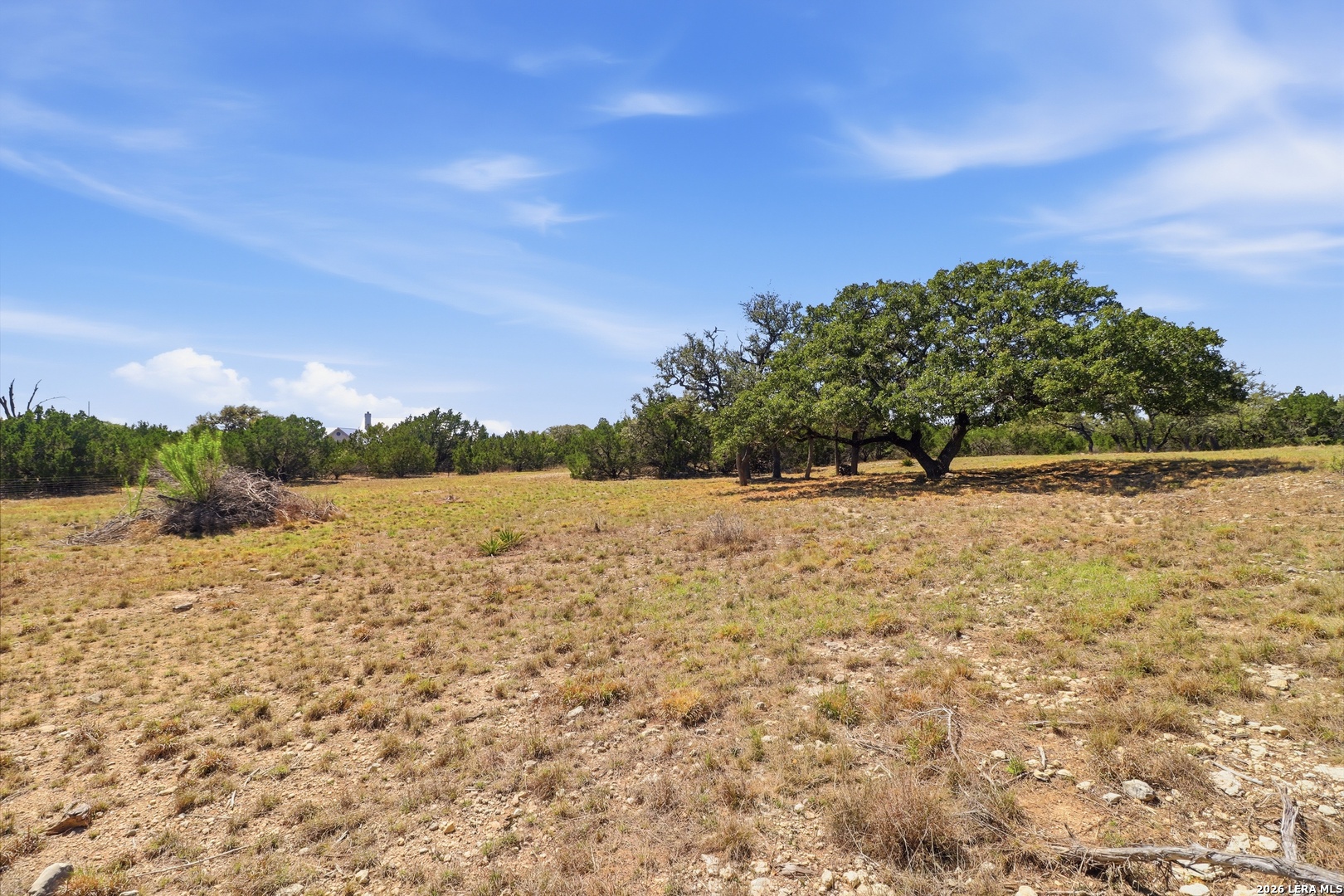 Search 748 Bear Springs Trails