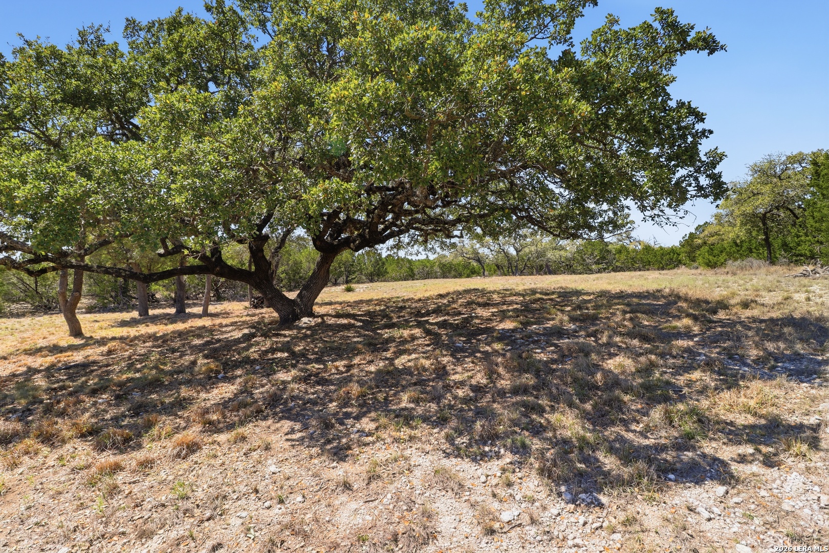 Search 748 Bear Springs Trails