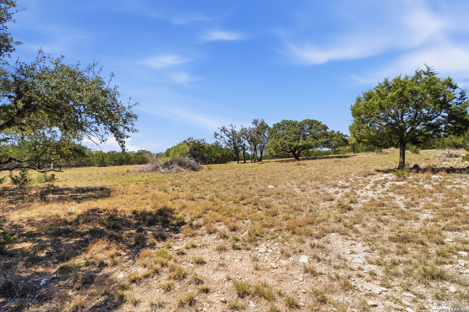 Search 748 Bear Springs Trails