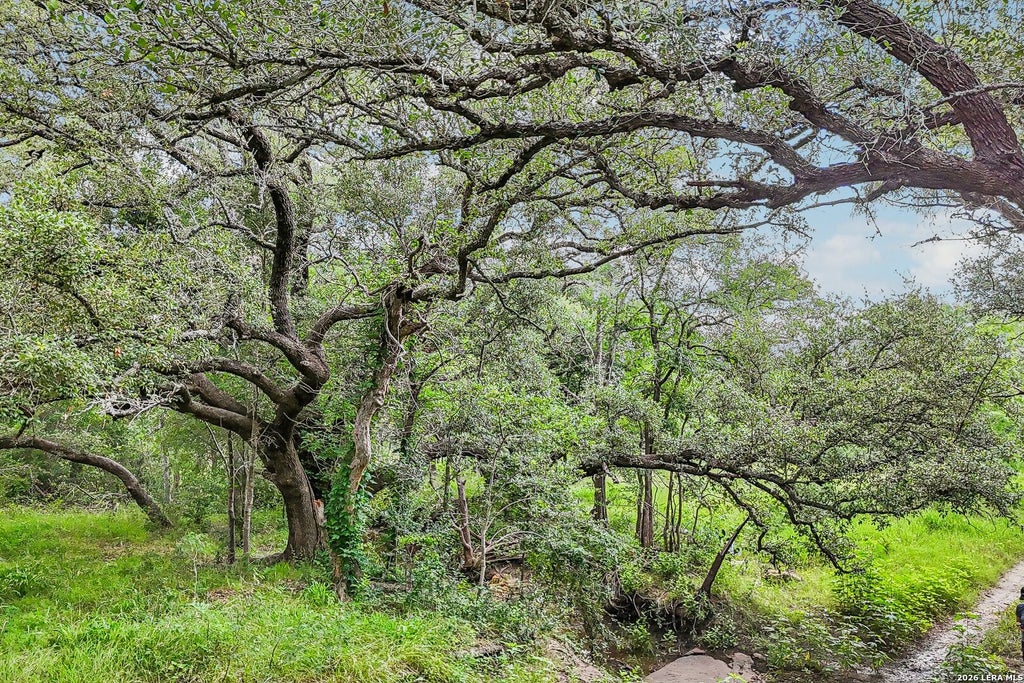 Photo of 1617 BLUE CREEK RD, La Vernia, TX 78121 (MLS # 1973597)