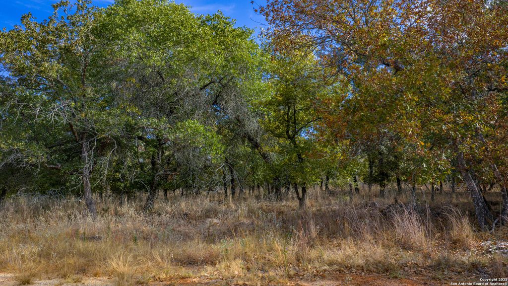 Photo of LOT 14 Sandstone Lane, Seguin, TX 78155 (MLS # 1917210)