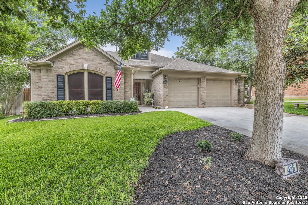 486 Enchanted Oak