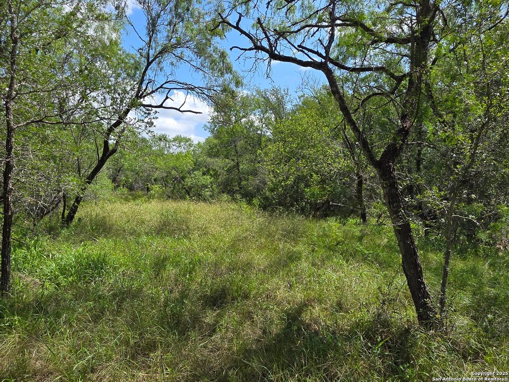 Photo of 645 Marrou Rd., Seguin, TX 78155 (MLS # 1876546)