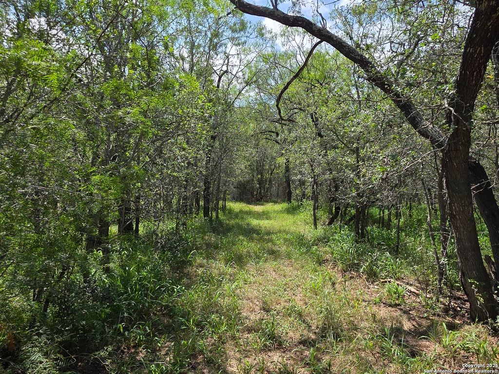 Photo of 645 Marrou Rd., Seguin, TX 78155 (MLS # 1876546)