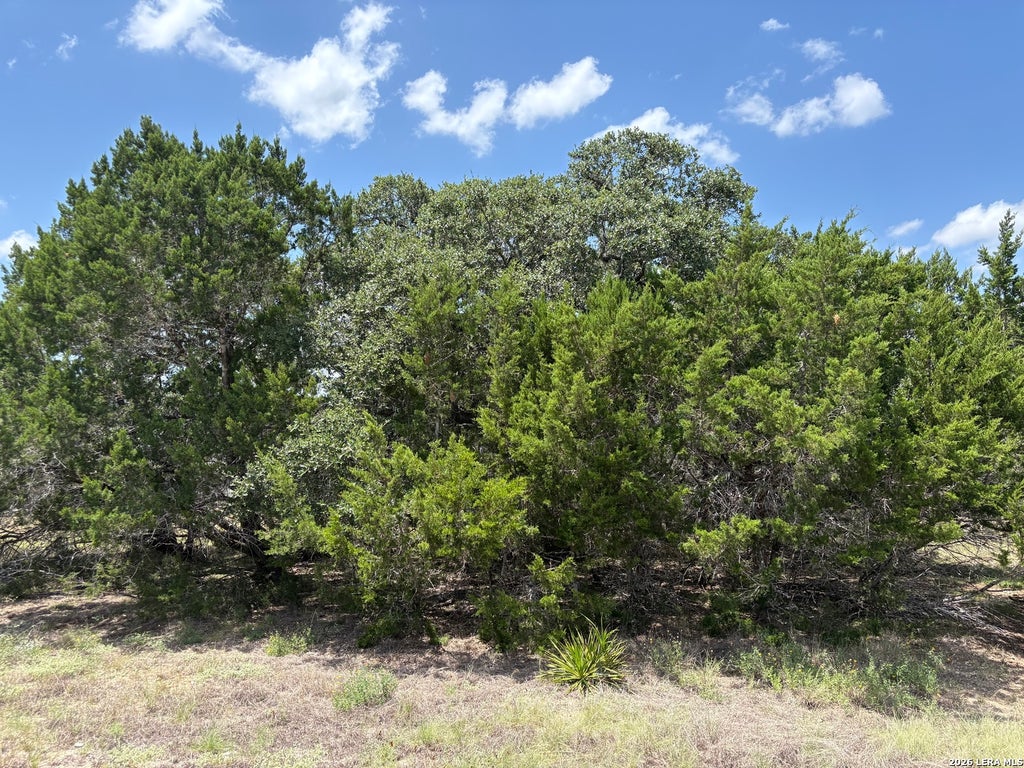 Photo of 132 PALOMINO SPGS, Bandera, TX 78003 (MLS # 2007897)