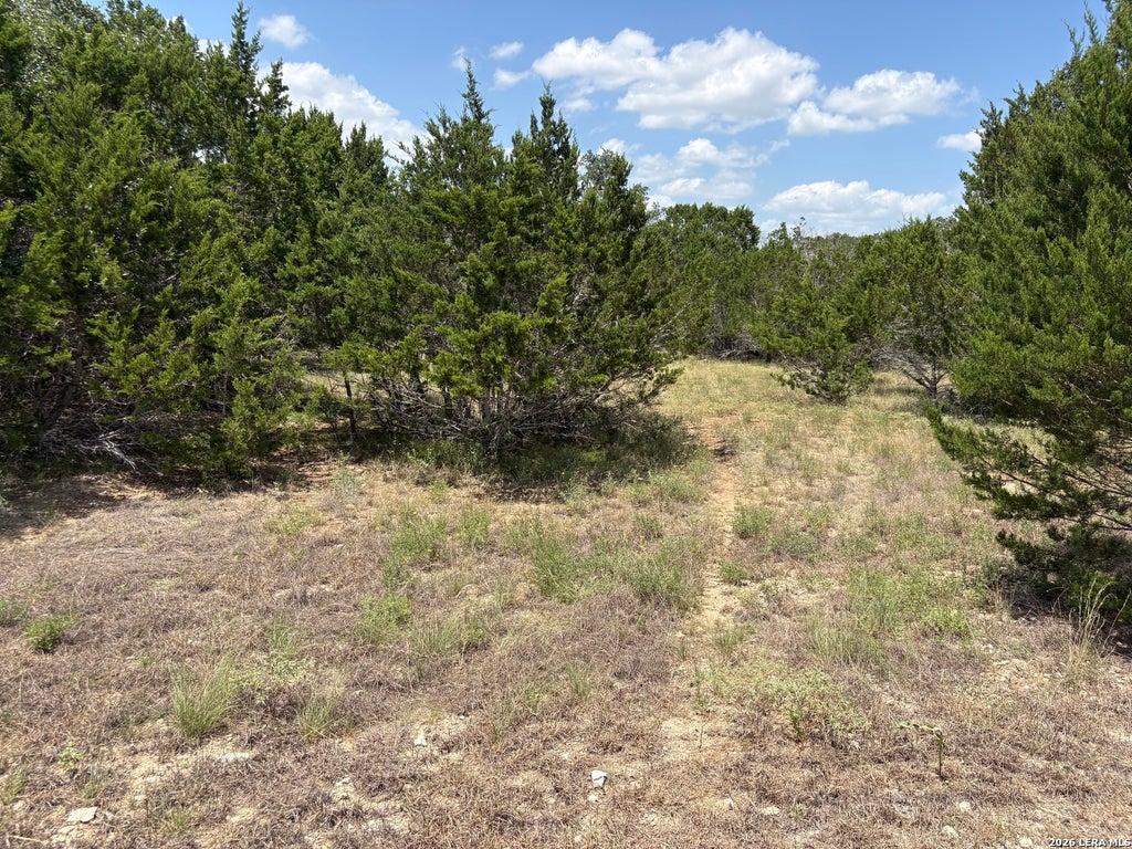 Photo of 132 PALOMINO SPGS, Bandera, TX 78003 (MLS # 2007897)