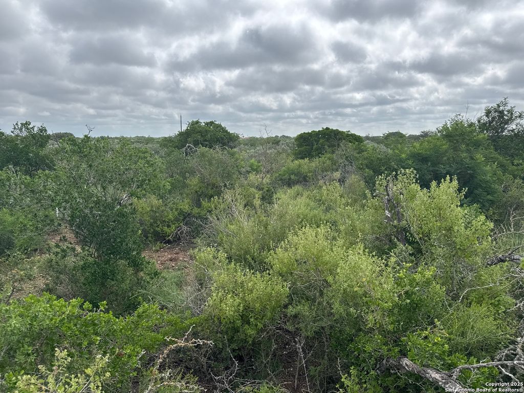 Photo of 73 Rocky Hls, Uvalde, TX 78801 (MLS # 1660579)
