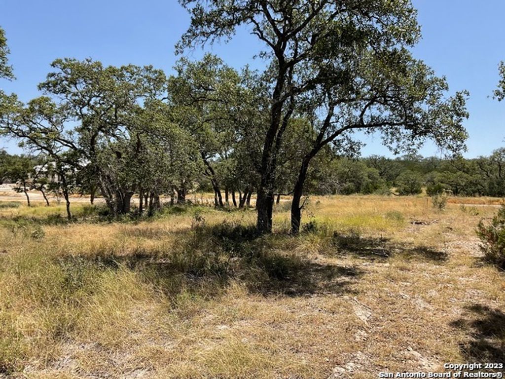 Photo of 722 BLAZE RIDGE BLVD, Bulverde, TX 78163 (MLS # 1724836)