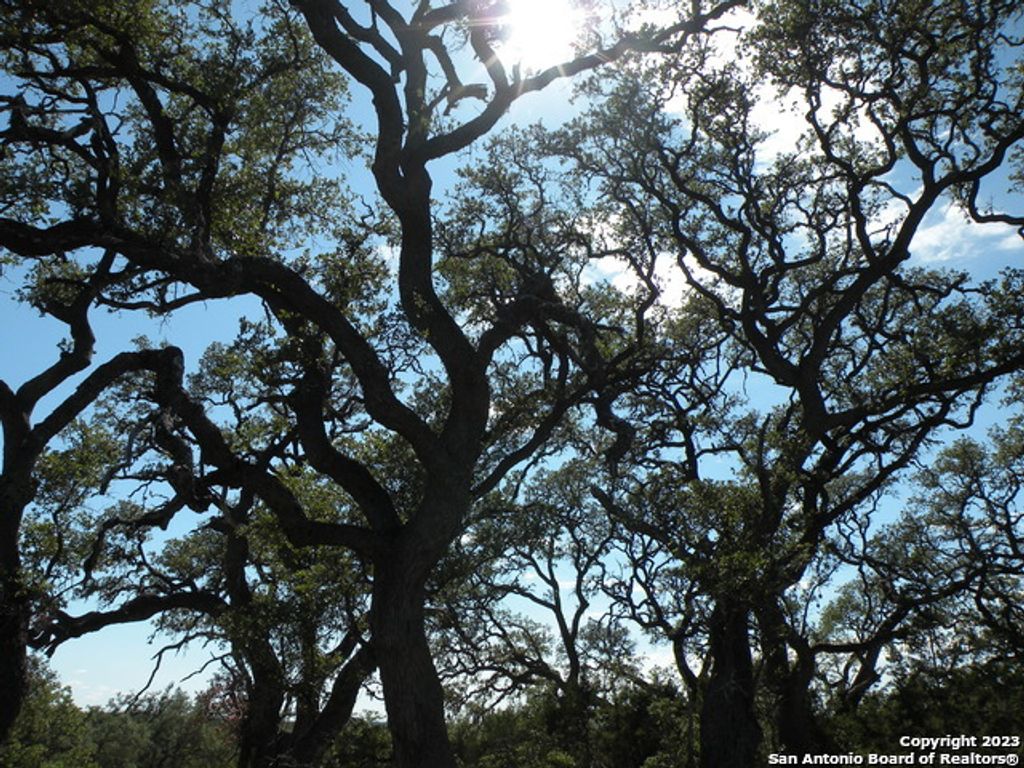 Photo of 722 BLAZE RIDGE BLVD, Bulverde, TX 78163 (MLS # 1724836)