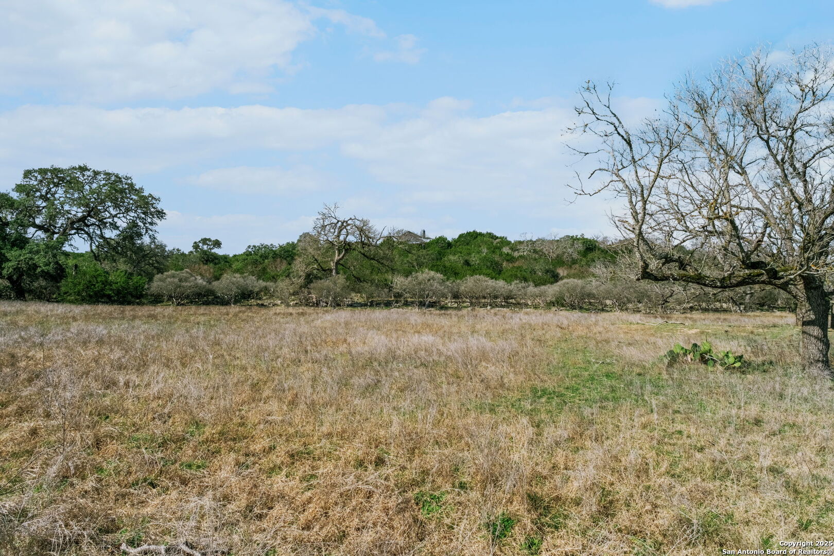 124 Hoskins Trail