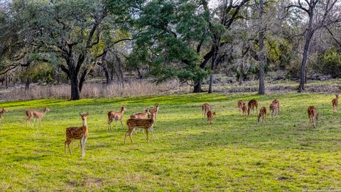 124 Hoskins Trail Boerne TX 78006
