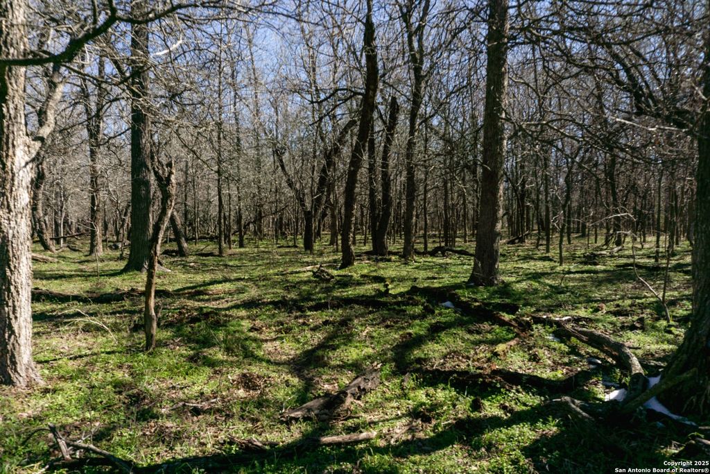 Photo of 525 Marrou Rd., Seguin, TX 78155 (MLS # 1876540)