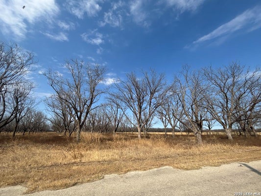 330 STOCKLEY RD, QUEMADO, TX 78877 - Image 10f49290ea02e0d9624ae7eeb8f90a65/190460436