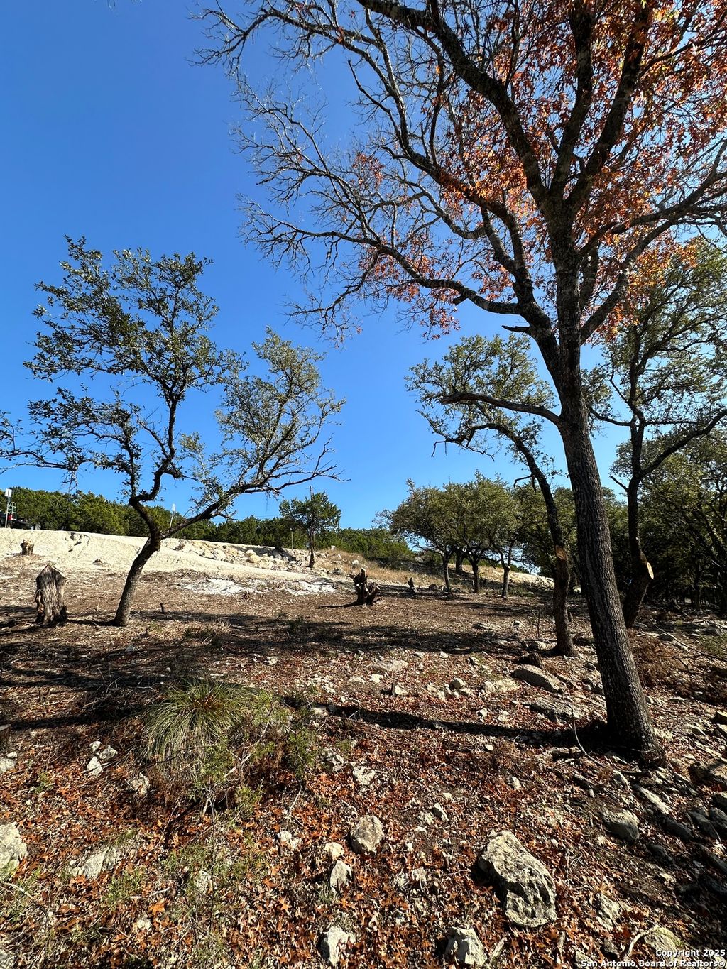 Photo of 444 Herauf, Canyon Lake, TX 78133 (MLS # 1913196)