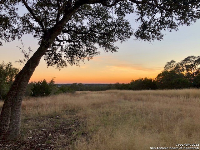 Spring Branch, Texas 78070, United States, ,Land,Active,74675