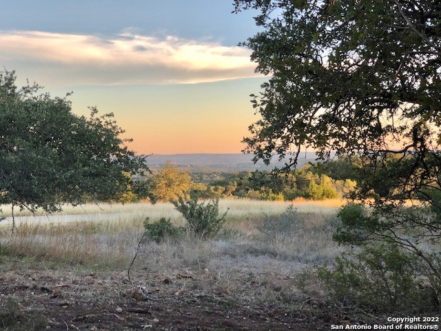 Spring Branch, Texas 78070, United States, ,Land,Active,74675