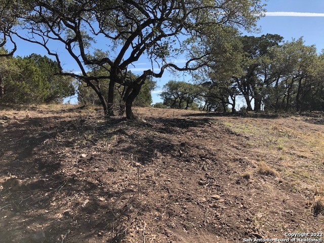 Spring Branch, Texas 78070, United States, ,Land,Active,74675