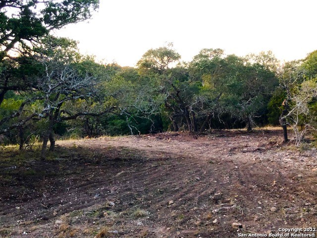 Spring Branch, Texas 78070, United States, ,Land,Active,74675