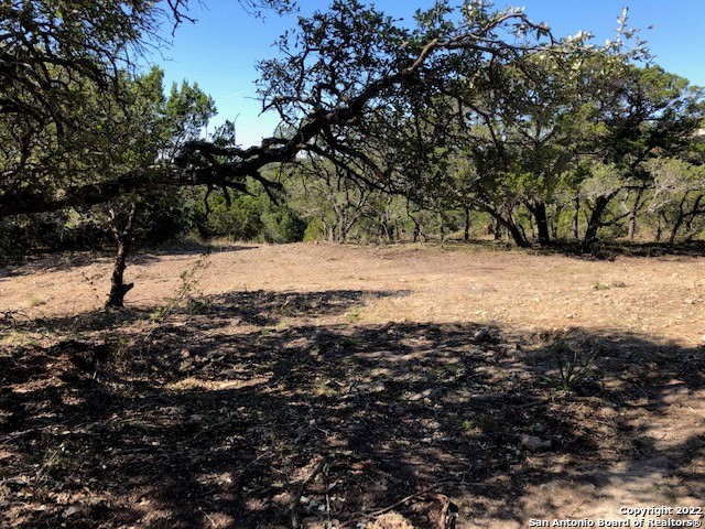 Spring Branch, Texas 78070, United States, ,Land,Active,74675