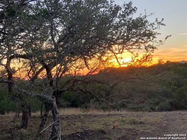 Spring Branch, Texas 78070, United States, ,Land,Active,74675