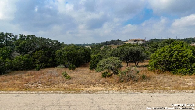 Spring Branch, Texas 78070, United States, ,Land,Active,74675