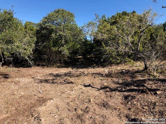 Spring Branch, Texas 78070, United States, ,Land,Active,74675