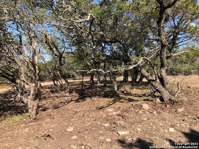 Spring Branch, Texas 78070, United States, ,Land,Active,74675