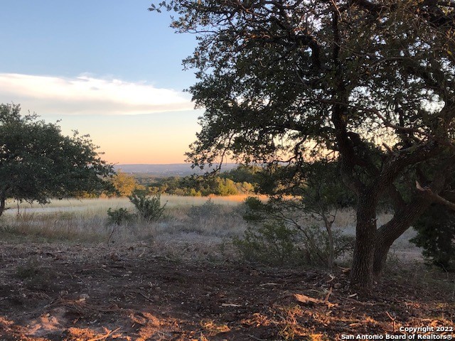 Spring Branch, Texas 78070, United States, ,Land,Active,74675